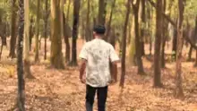Cinematic CapCut template
