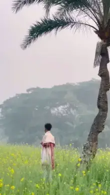 আর ক ব ঝ ব বল,!! CapCut template