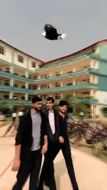 Ham un badshahume SE CapCut template