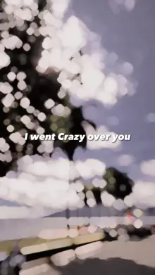 IwentCrazyOverYou CapCut template
