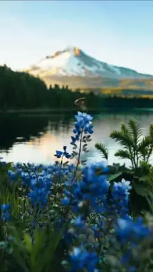 Mountain Peace CapCut template