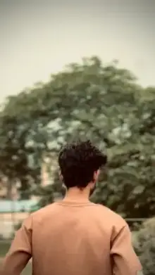 Rangdarrr CapCut template
