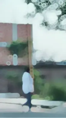Sameer pyari CapCut template