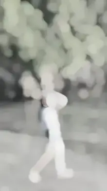 Slowmo India 1Video CapCut template