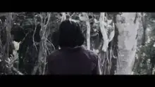 Villain CapCut template